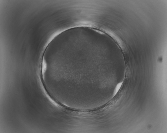 X0000116481383201001201333