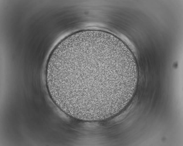 X0000116481384201001201333