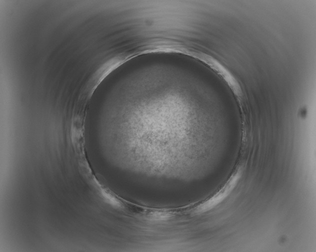 X0000116481385201001201333