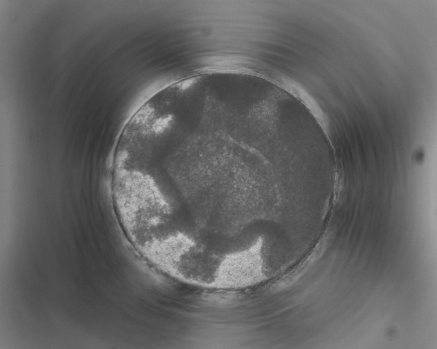 X0000116481386201001201333