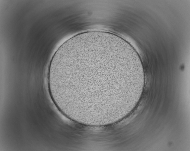 X0000116481387201001201333