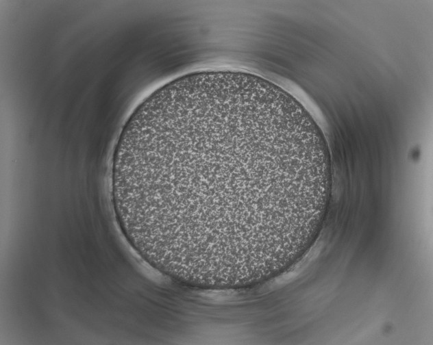 X0000116481388201001201333