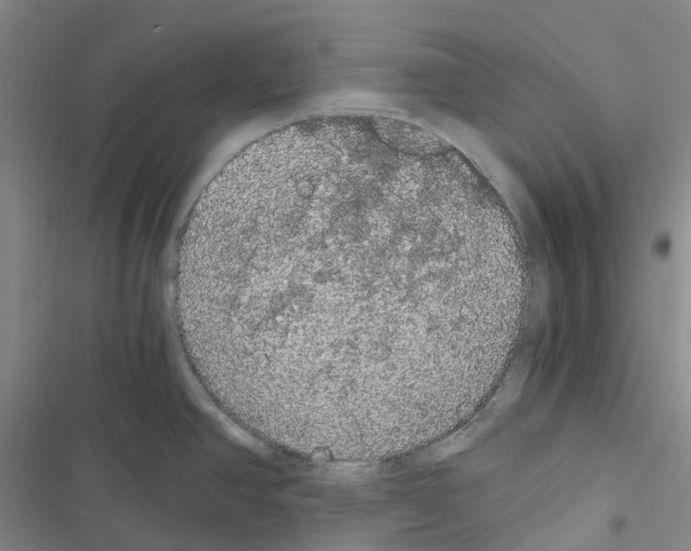 X0000116481390201001201333