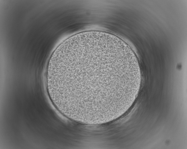 X0000116481391201001201333