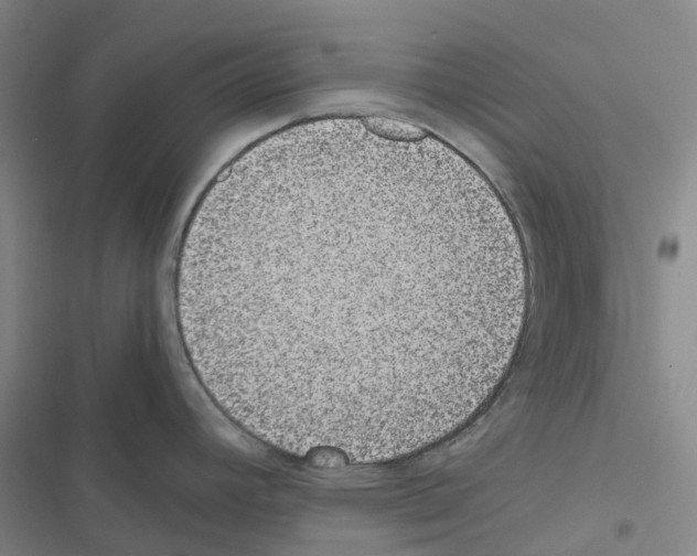 X0000116481392201001201333