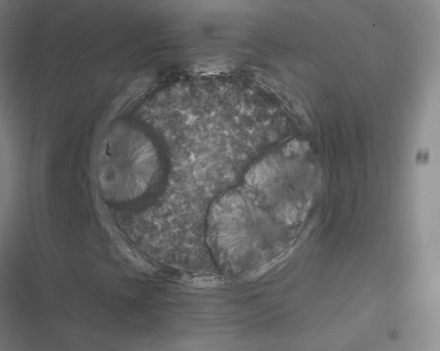 X0000116481393201001201332