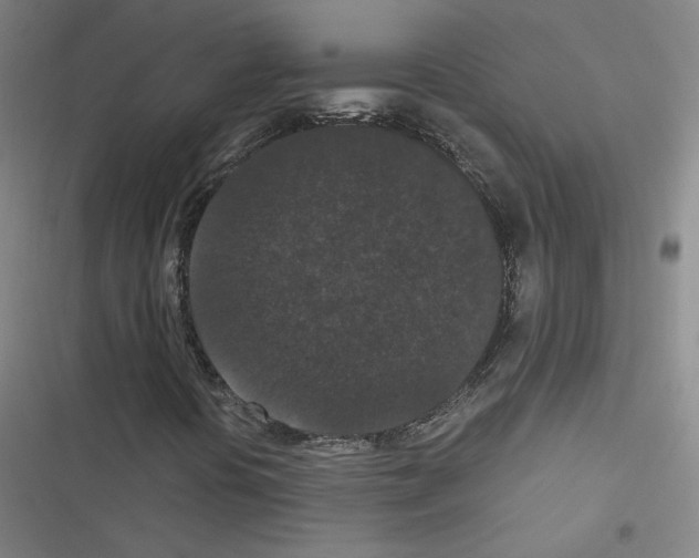 X0000116481394201001201332