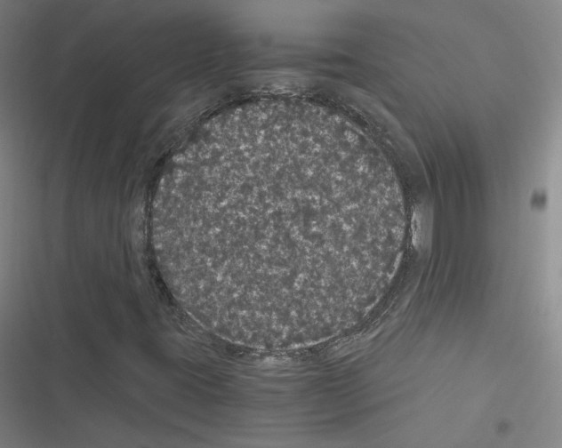 X0000116481395201001201332