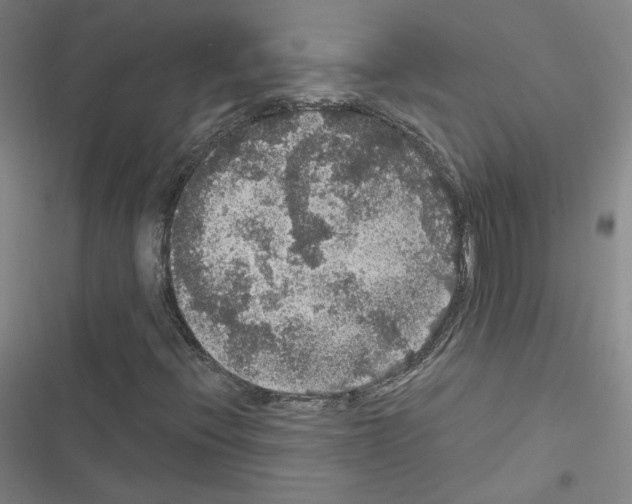 X0000116481396201001201332