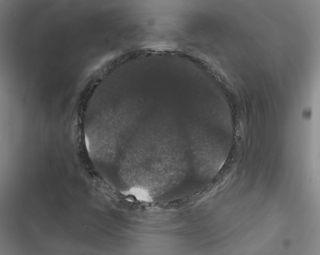 X0000116481398201001201332