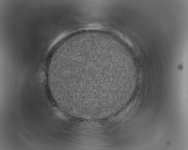 X0000116481400201001201332