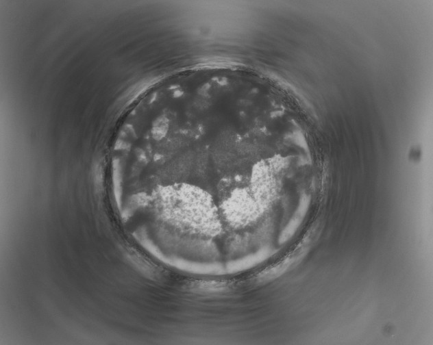 X0000116481401201001201332