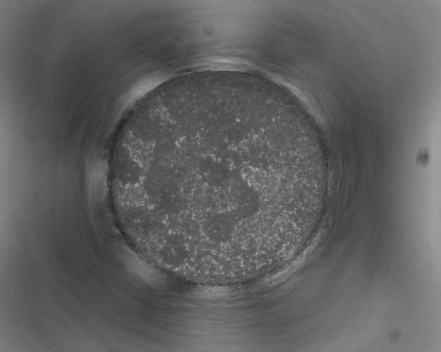 X0000116481402201001201332