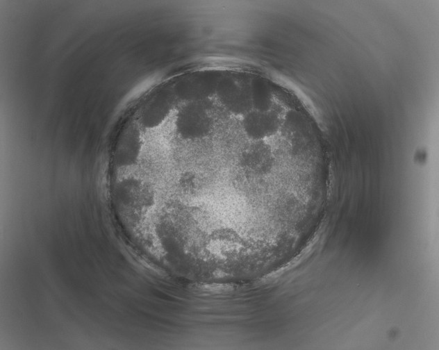 X0000116481403201001201332