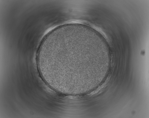 X0000116481404201001201332