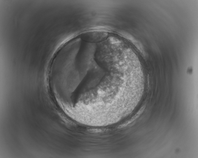 X0000116481405201001201332