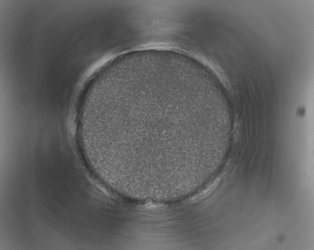 X0000116481406201001201332