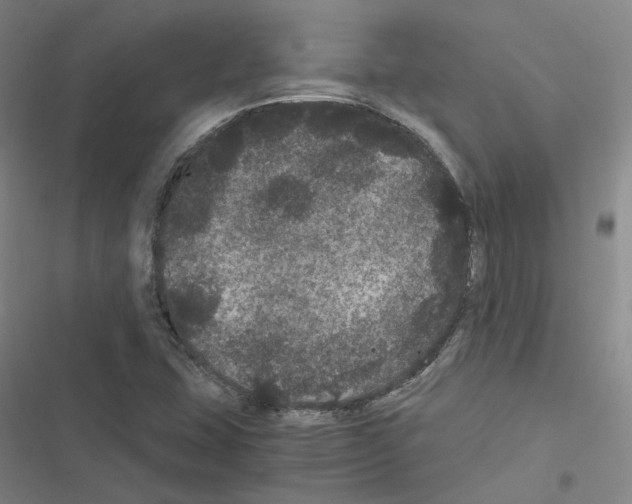 X0000116481407201001201333