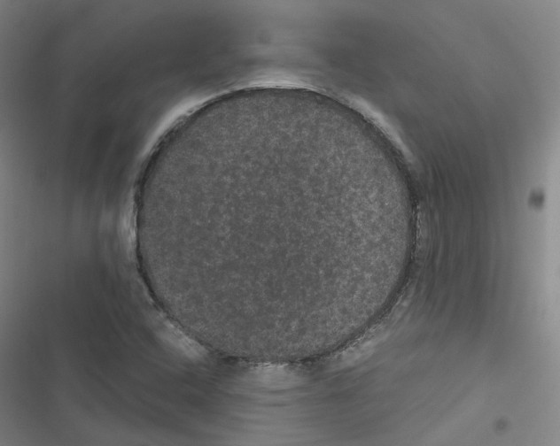 X0000116481408201001201333