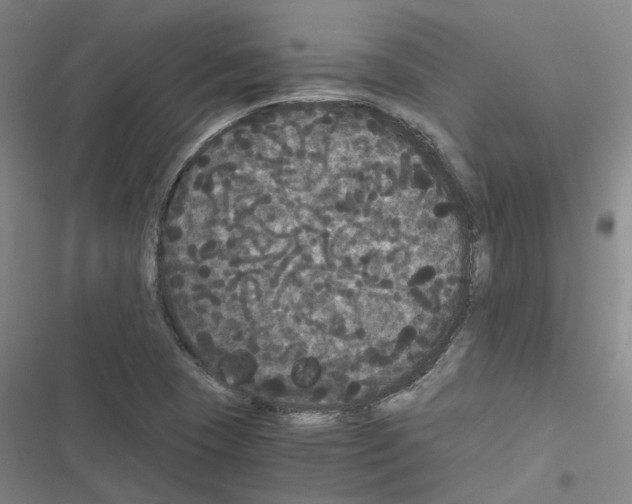 X0000116481409201001201333