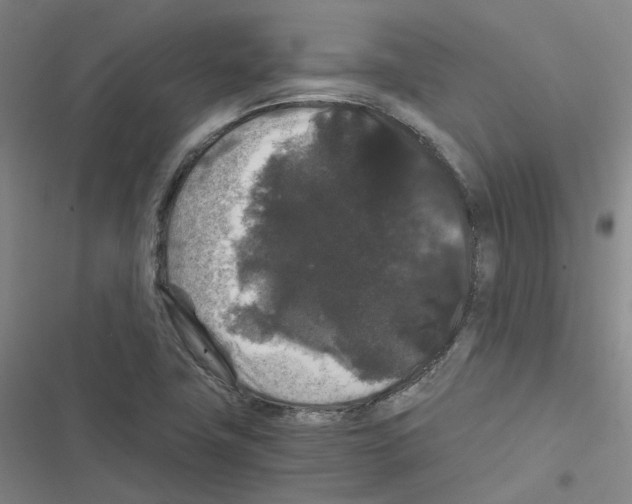 X0000116481411201001201333