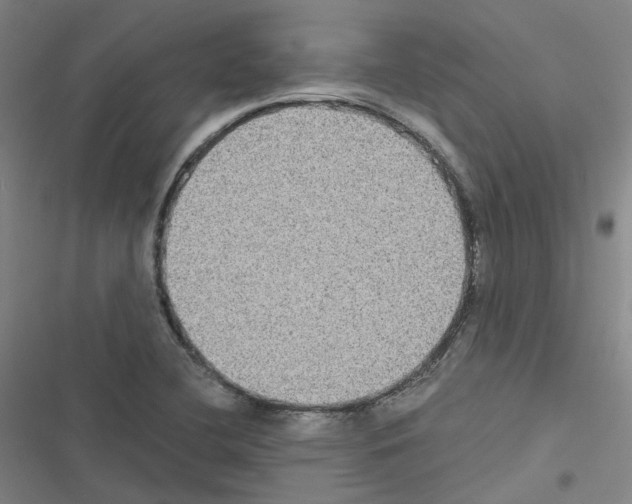 X0000116481412201001201333