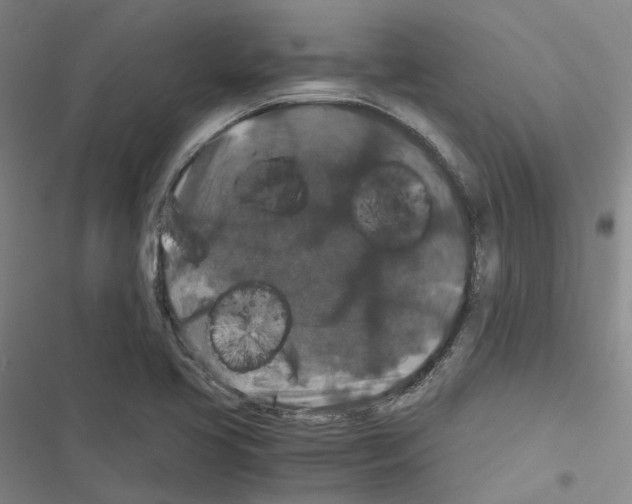 X0000116481413201001201333