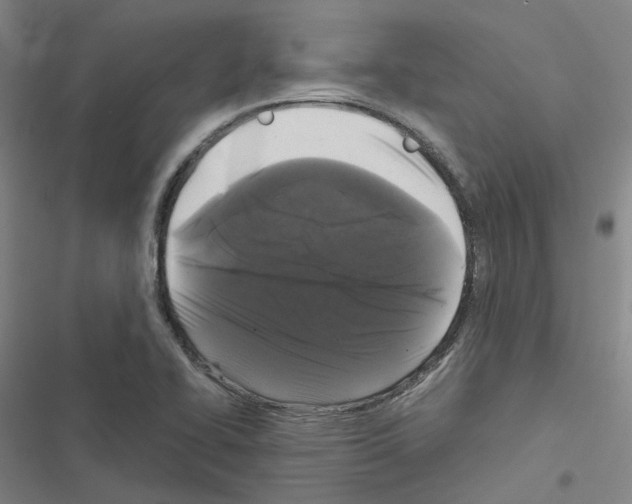 X0000116481414201001201333