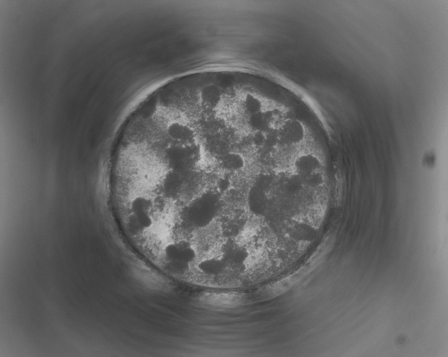 X0000116481415201001201333