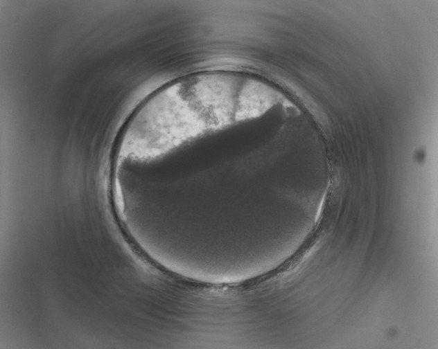 X0000116481418201001201333