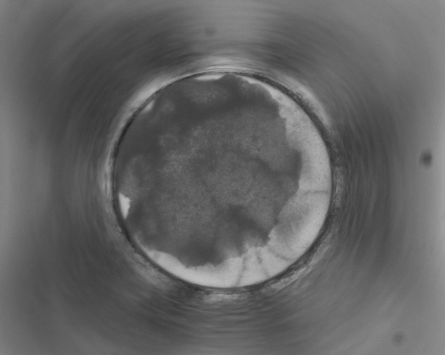 X0000116481419201001201333