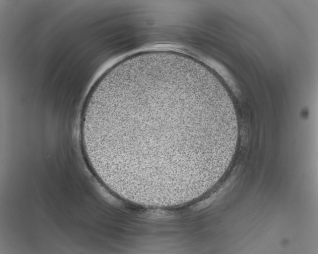 X0000116481420201001201333