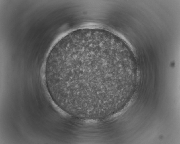 X0000116481421201001201333