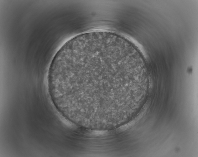 X0000116481423201001201333