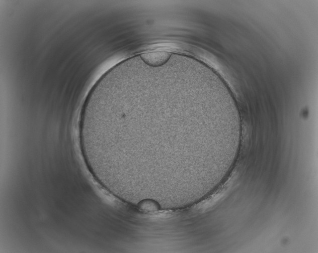 X0000116481426201001201333