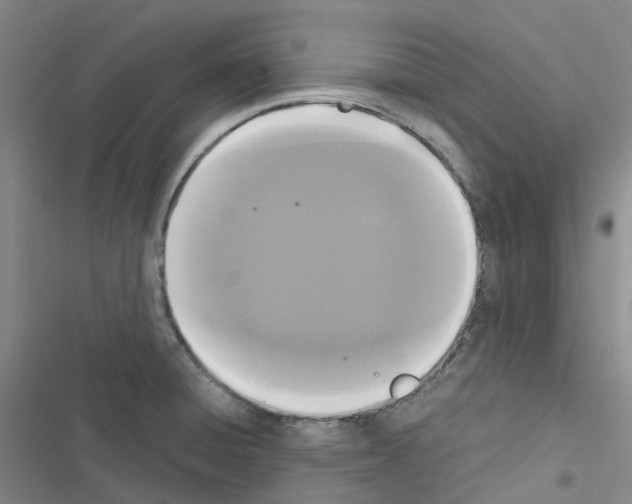 X0000116481428201001201333