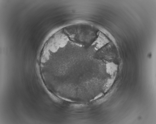 X0000116481429201001201333