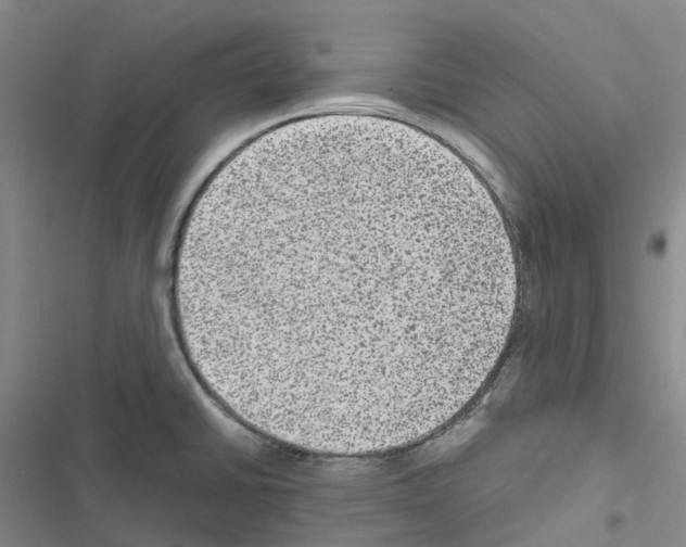 X0000116481430201001201333