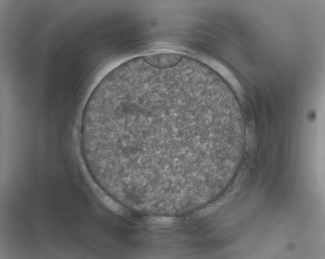 X0000116481431201001201333