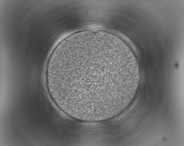 X0000116481432201001201333