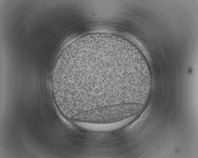 X0000116481433201001201333