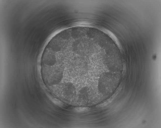 X0000116481435201001201333