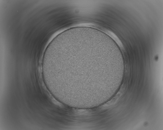 X0000116481436201001201333