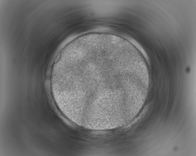 X0000116481437201001201333