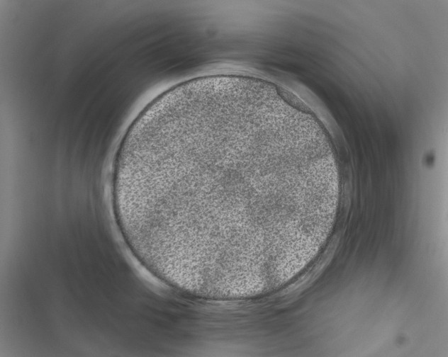 X0000116481438201001201333