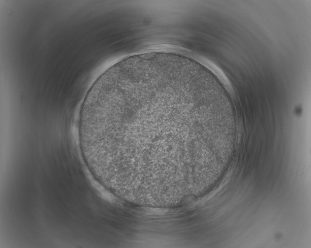 X0000116481439201001201333