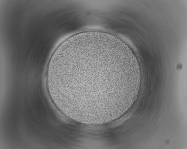 X0000116481440201001201333