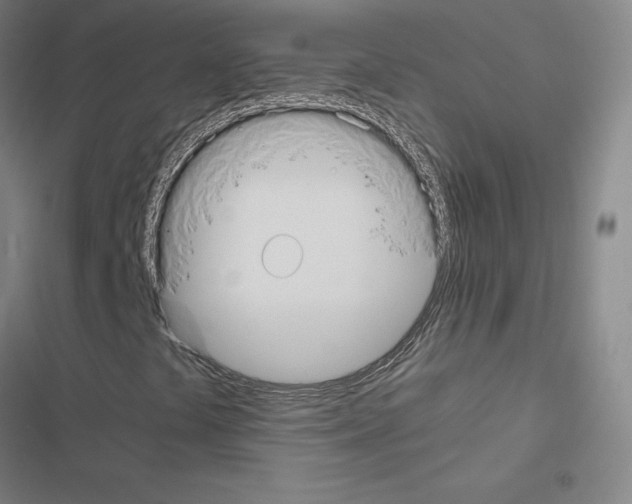 X0000116481441201001201332