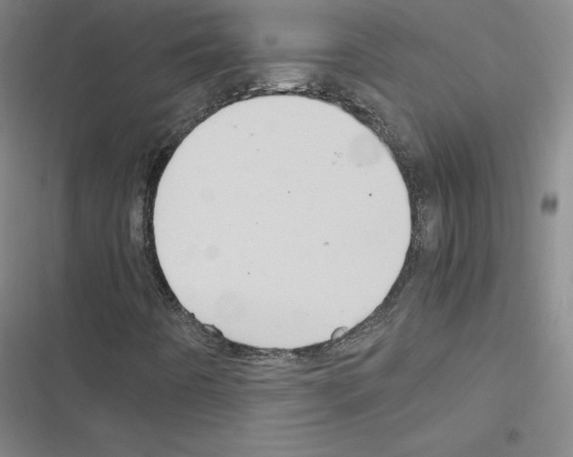 X0000116481442201001201332