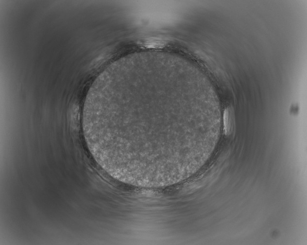 X0000116481443201001201332